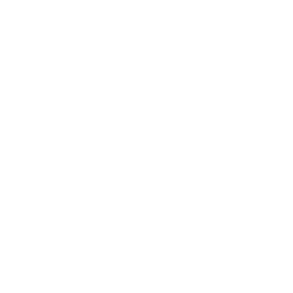 Logo Rolando Toro
